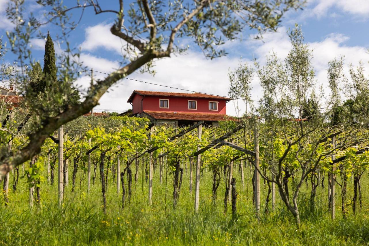 Ferienwohnung Tourist Farm RED FAIRYTALE Marezige Exterior foto